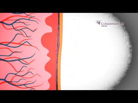 Видео о препарате Колпотрофин (Проместрин) капс. ваг. 10мг N20