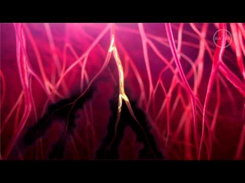 Видео о препарате Иммитицид Меларсомин ампулы №5