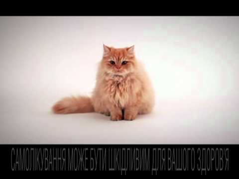 Видео о препарате Левоцетиризин Тева (прошлое название Алерон) табл. 5мг N30